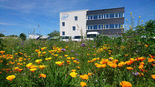 Sanitätshaus Pfänder Engagement Blumenwiese Bienenweide